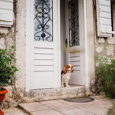 White Shutters House Risan Exterior foto