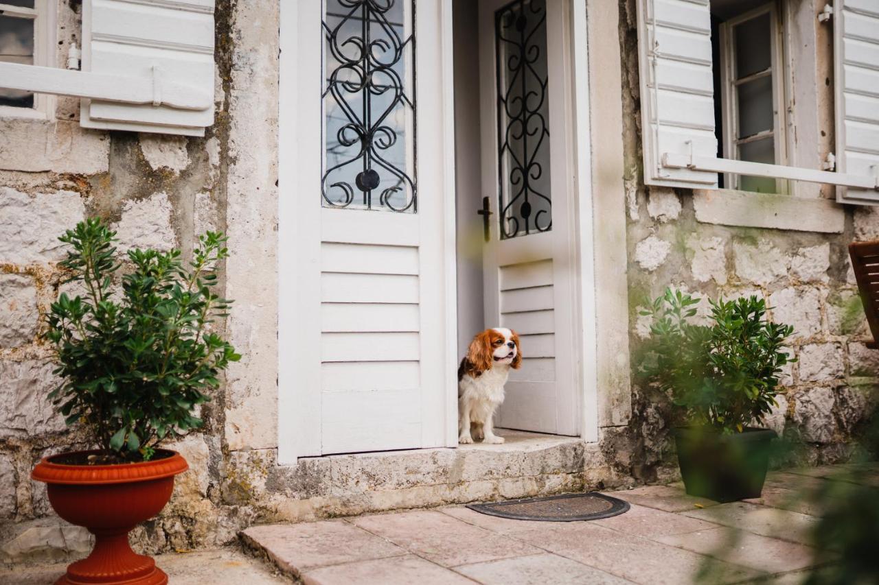 White Shutters House Risan Exterior foto